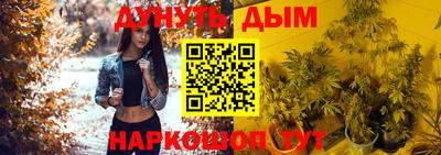 дживик Новозыбков