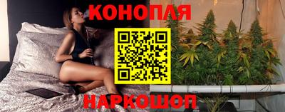 дживик Новозыбков