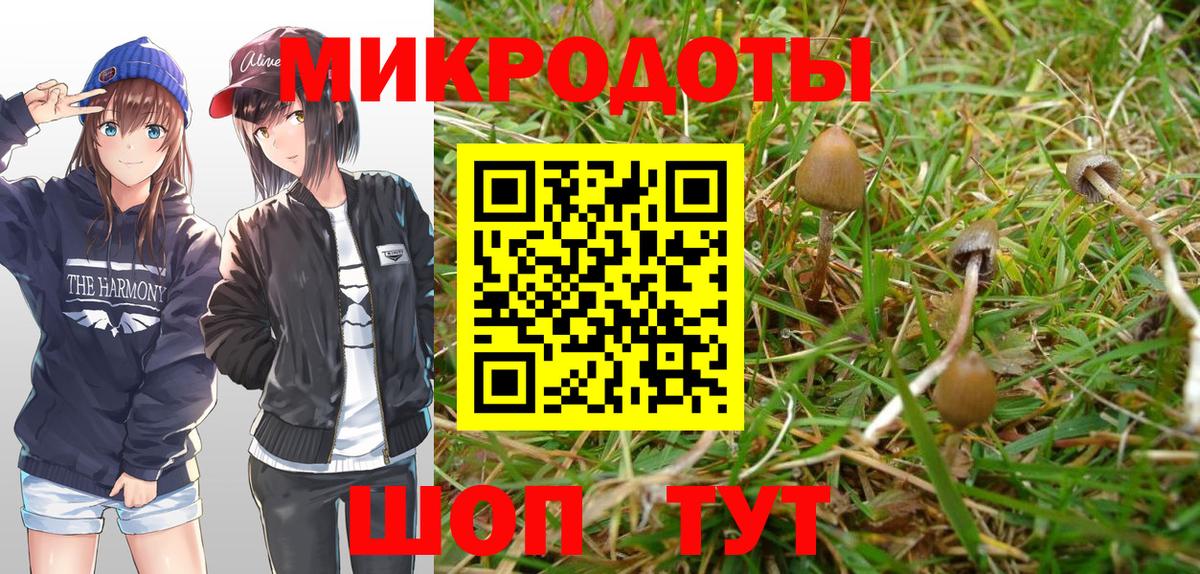 Галлюциногенные грибы ЛСД  Вышний Волочёк 