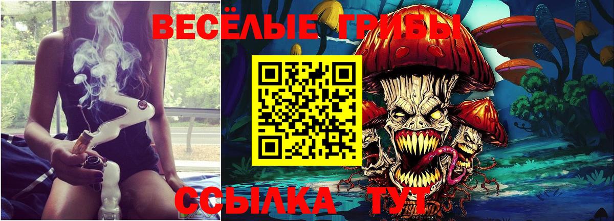 Вышний Волочёк  Псилоцибиновые грибы прущие грибы  Вход с VPN 
